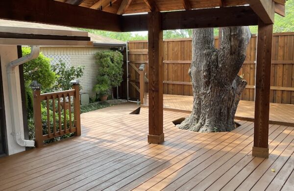 Outdoor covered deck with tree coming through the deck